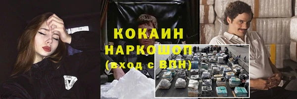 соль ск Алзамай