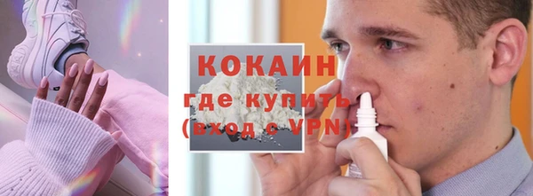 соль ск Алзамай